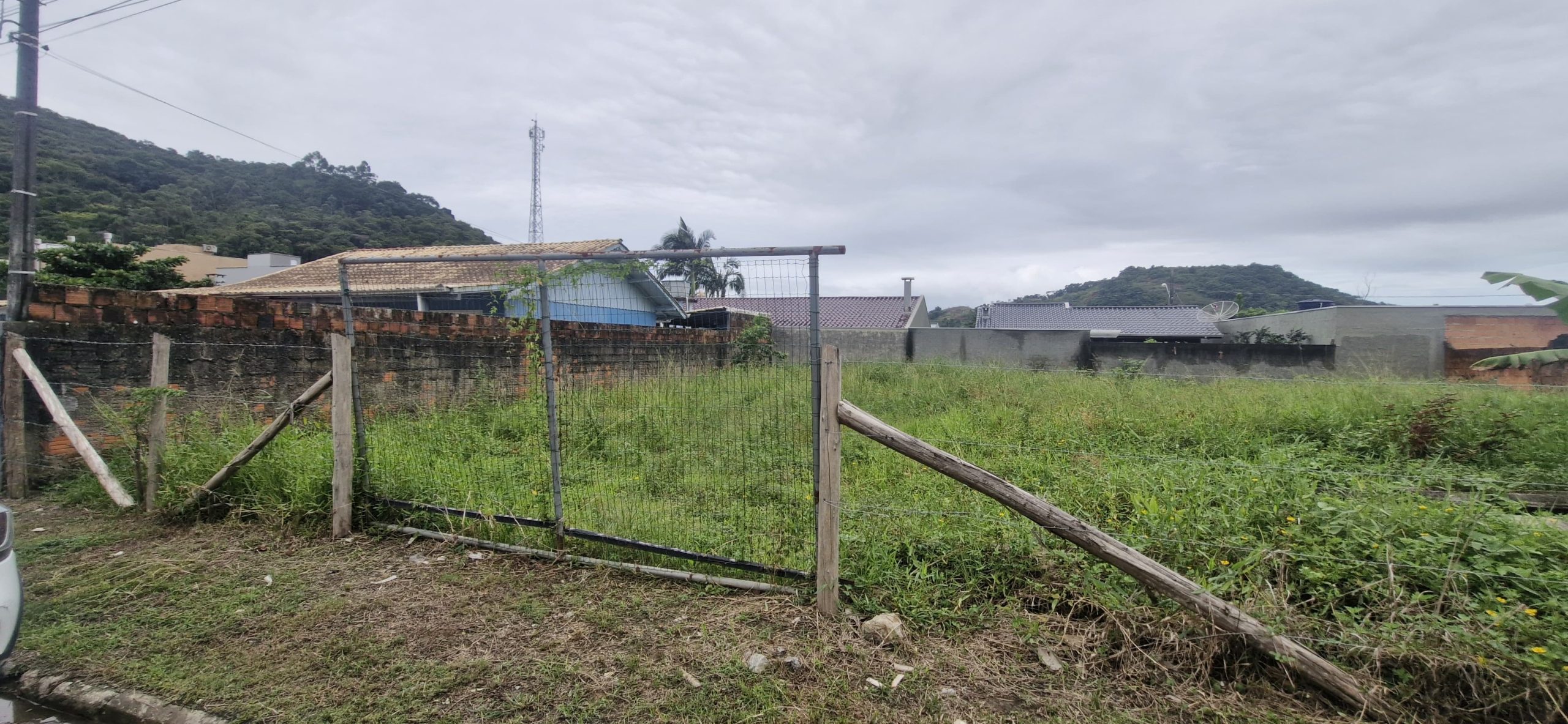 Mutirão de Limpeza ASAI
