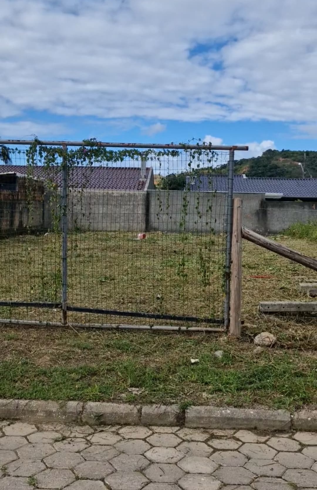 Mutirão de Limpeza ASAI